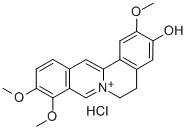 JATRORRHIZINE HCL(RG)